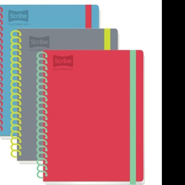 CUADERNO PROF. EXCELLENCE SCRIBE 9450 RAYA ESP.100H. C24